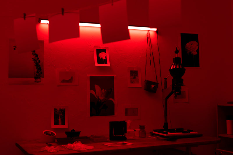 The Art of Developing Photographs in the Film Era