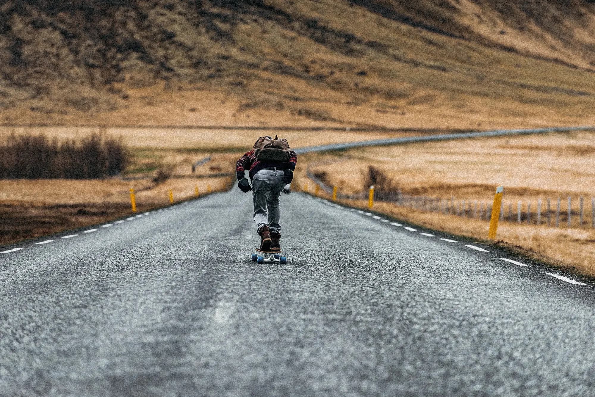 CineStill Collection 2