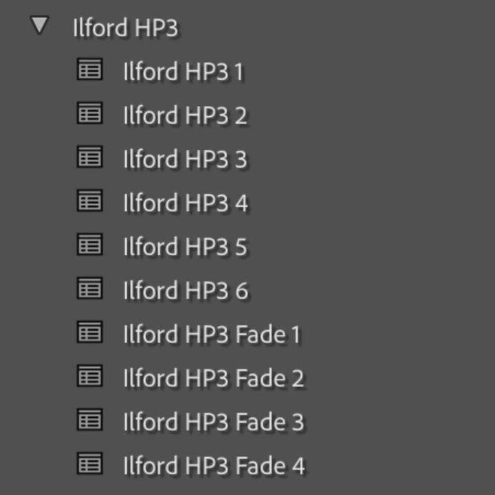 ILFORD HP SIMULATION