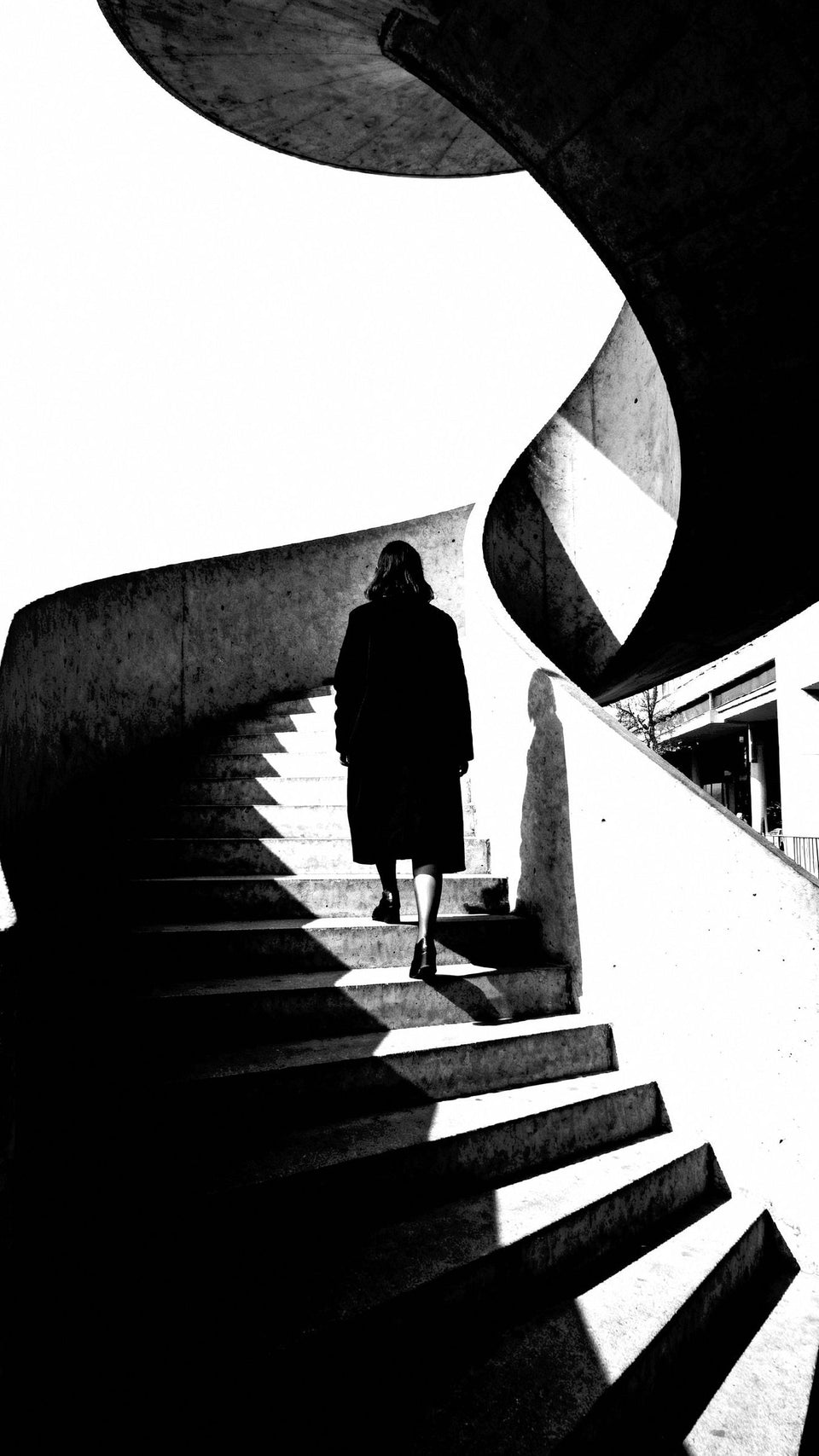 Black & White Bundle — editorial photograph
